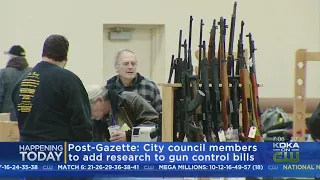 City Council To Make Changes To Controversial Gun Legislation