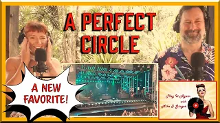 Thanks For All The Fish - A PERFECT CIRCLE Reaction with Mike & Ginger