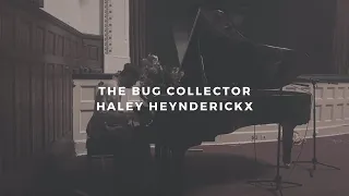 the bug collector: haley heynderickx (piano rendition by david ross lawn)