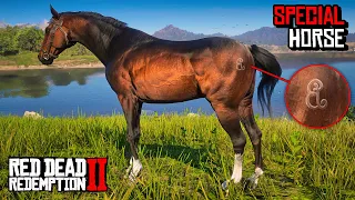 Free TURKOMAN still WORKS! How to Get Special Braithwaite Turkoman - RDR2