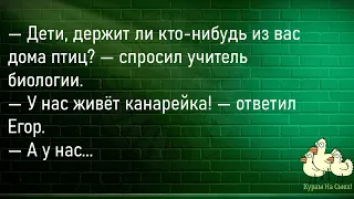 🐔Женщина На Приёме У Врача...Большой Сборник Смешных Анекдотов,Для Супер Настроения!