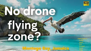 Drone over Doctor Cave Beach, #montegobay #jamaica