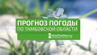 Прогноз погоды в Тамбове и Тамбовской области на 12 мая 2024 года