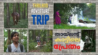 Thailand Adventure Trip | തായ്‌ലൻഡ് കാട്ടിൽ സംഭവിച്ചത് | Ghost Forest | DAY 3 | DEVU - DIYA - NIKKI