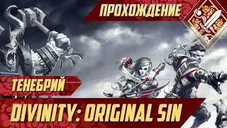 Тенебрий - Divinity Original Sin #55