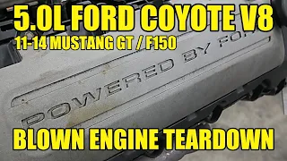 Blown Up Ford 5.0 Coyote V8 Total Teardown! 2011-2014 Mustang GT / F150
