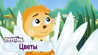 Цветы 🌸 Лунтик 🌺 Сборник мультфильмов для детей