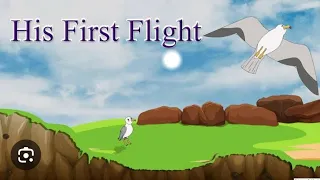 His First Flight. .Detailed explanation