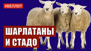 ШАРЛАТАНЫ  И  СТАДО:  ТЕМНЕЕТ - Веллер 24 08 2021