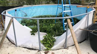 I Destroyed My Massive Outdoor Aquarium