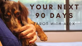 90 ngày tới - your next 90 days? - timeless | tarot