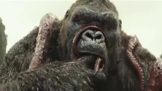 King Kong vs Pulpo Jigante. Pelea Completa