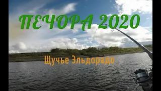 Печора 2020.Щука на каждом забросе!