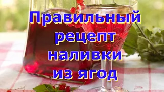 Наливку готовьте только так ! #наливка #настойка #наливкаизсмородины