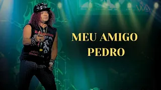 WANDERLEY ANDRADE - MEU AMIGO PEDRO