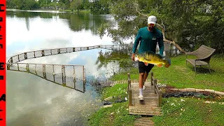 BUILDING Pet FISH WALL in LAKE!