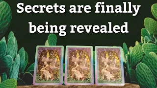 🔮 Secrets are finally being revealed 🔮 pick a card tarot ✨️ timeless ✨️