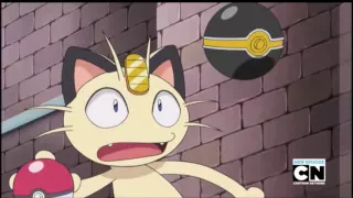 Pikachu almost caught Meowth