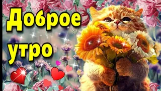 🥀🌈🌞Доброе  утречко🌈🥀 чудесного дня! 🌞Красивая музыкальная открытка💗