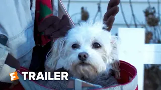 Charlie's Christmas Wish Trailer #1 (2020) | Fandango Family