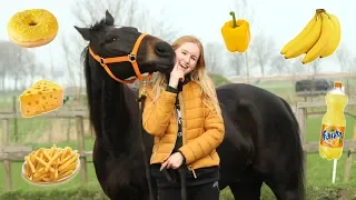 1 DAG alleen maar GEEL VOEDSEL ETEN MET PAARD & KONIJNEN | Vlog #31 | Daphneee