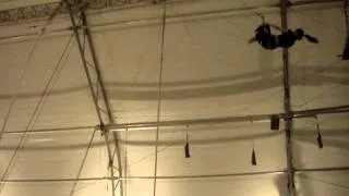 Trapeze - Knee Hang with Back Flip!