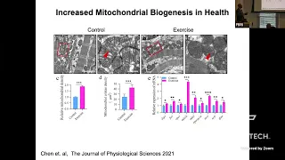 Regulation of Mitochondrial Parameters in Skeletal Muscle