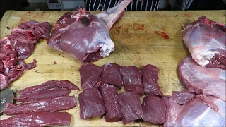 How To Butcher A Deer. Fallow Buck Butchery. #SRP