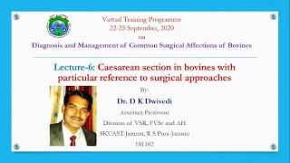 VTP, 2020, Lecture: 6 Caesarean section in bovines with particular reference to surgical approaches