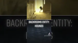 Backrooms Entity #8: Hounds