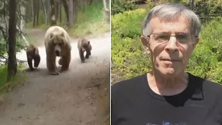 Hiker Records Video As Mama Bear And Cubs Follow Him Along Trail