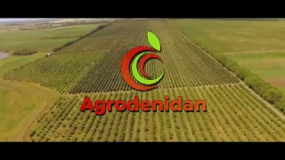 Agrodenidan Moldova
