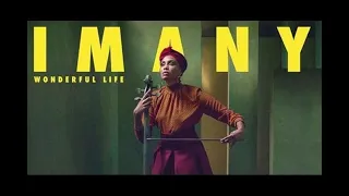 Imany - Wonderful Life with Lyrics