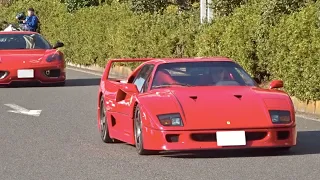 【大黒PA】スーパーカー加速サウンド／Supercars sound in Japan. Urus, Aventador, F40, Viper and more. #スーパーカー #ランボルギーニ