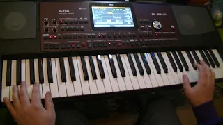 Kaczuszki (Chicken Dance) #16 Korg