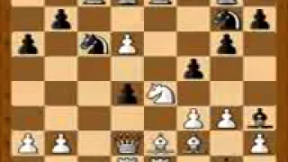 Kasparov vs Carlsen(2004) Reykjavik