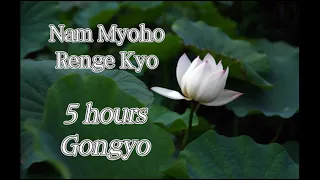 5h Nam Myoho Renge Kyo - MIRACLE Very Fast Gongyo