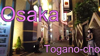 【Osaka Walk🐈】Umeda / Toganocho Night Walk [4K]