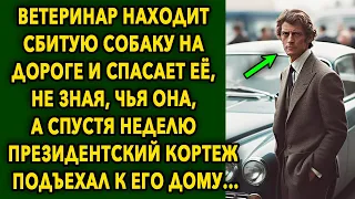 Ветеринар находит собаку на дороге и спасает ее, не зная, чья она, а спустя неделю президент...