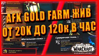 AFK GOLD FARM ОТ 20000 ДО 120 000 ЗОЛОТА В ЧАС ! World of Warcraft Shadowlands 9.0.2