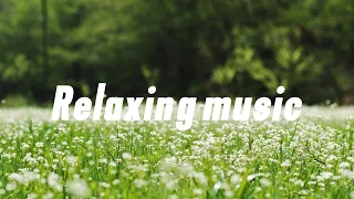 [Playlisyt]공부할 때 듣는 피아노 연주곡🎵relaxing music for study.concentration music for work. piano music.