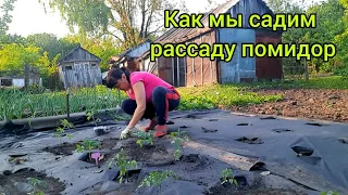 СРОЧНО В ДЕРЕВНЮ: 🏡 Как Мы Успеваем ПОСАДИТЬ РАССАДУ🍅 помидор 🍅в один день и не отстать от графика.