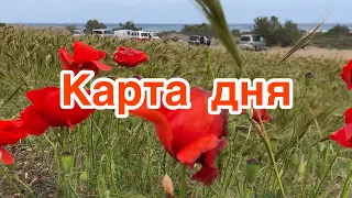 Карта дня на 1 мая 2021 года на картах Таро. Гадание  онлайн.