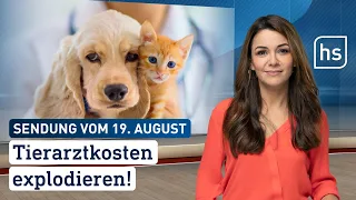 Tierarztkosten explodieren! | hessenschau vom 19.08.2023