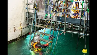 The Pile Fuel Storage Pond divers - Sellafield Ltd