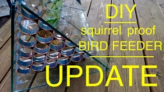 How to make a ● Squirrel Proof Bird Feeder  ●  U P D A T E