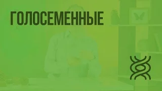 Голосеменные. Видеоурок по биологии 5 класс