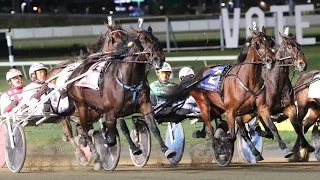 2016 Breeders Crown Open Trot-Flanagan Memory