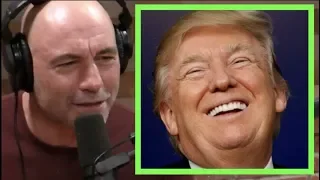 Joe Rogan - Why Donald Trump is Untouchable