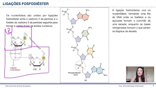 Estrutura dos Ácidos Nucleicos